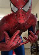 Image result for Sam Raimi SpiderMan