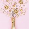 Image result for Champagne Sweetness