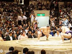 Image result for Tokyo Japan Sumo