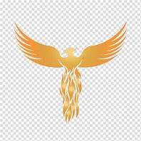 Image result for Orange Phoenix Logo