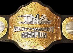 Image result for TNA Championship