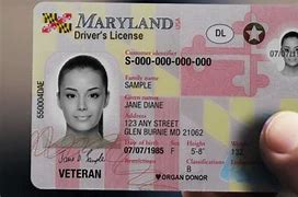 Image result for Maryland Driver's License