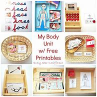 Image result for Human Body Activities