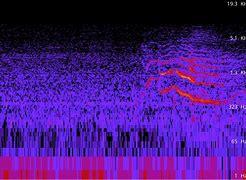 Image result for espectrograf�a