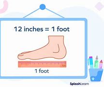 Image result for Medical Chart Feet to Inches