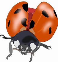 Image result for Beetle Insect Cartoon