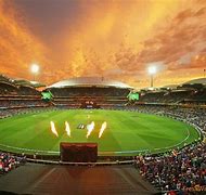 Image result for Cricket Pitch Wallpaper