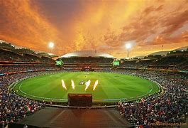Image result for Cricket Backround Text
