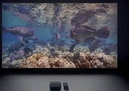 Image result for Jellyfish Apple TV Screensaver