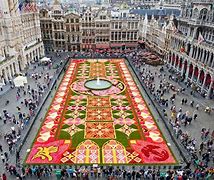 Image result for Brussels Flower Carpet Festival