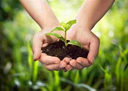 Image result for Sustainable Agriculture Farm