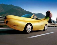 Image result for Weirdest Cars of All Time Book