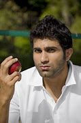Image result for Flying Cricket Ball Sign
