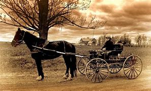 Image result for Horse and Buggy 1800s