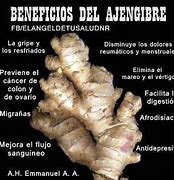 Image result for ajengibre