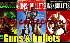 Image result for Fallout 4 Guns