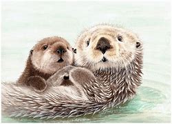 Image result for Cute Sea Otter Art