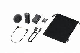 Image result for Sony Wireless Microphone