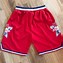 Image result for NBA All-Star Shorts