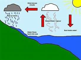 Image result for Diagram of Water Cycle