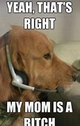 Image result for Bill Collector Dog