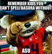 Image result for University of Arizona Memes