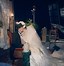 Image result for Gilda Radner Wedding