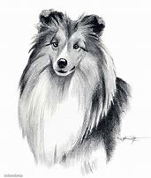 Image result for Beautiful Pencil Drawings of Dogs