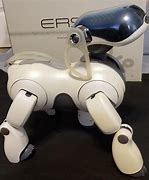 Image result for Aibo Old