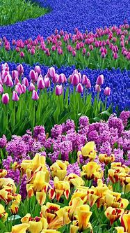Image result for Spring iPhone Screensavers