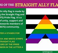 Image result for Ally Flag