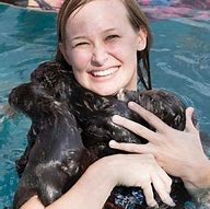 Image result for Cute Otter Swimming