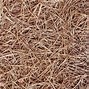 Image result for Mulch Pine Needle Pebble