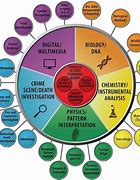 Image result for Forensic Science Organization Hierarchy Chart