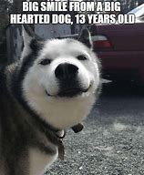 Image result for Laughing Husky Meme