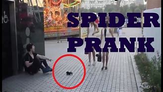 Image result for Funny Spider Pranks