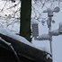 Image result for Large Display Wireless Weather Station