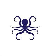 Image result for Octopus Icon