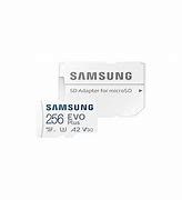 Image result for microSD 256GB