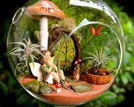 Image result for Miniature Fairy Garden Terrarium