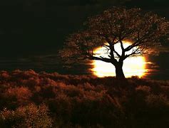 Image result for Beautiful HD Nature Dark