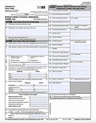 Image result for K-1 Tax Return