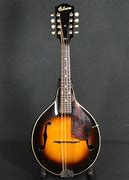 Image result for Gibson Resonator Mandolin