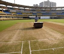 Image result for Cricket Pitch in Summer