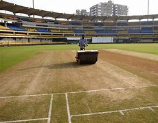 Image result for Mid On Cricket Field