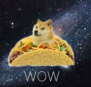 Image result for Space Dog Meme