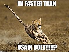 Image result for Fast Faster Meme