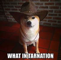 Image result for What in Tarnation Meme