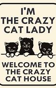 Image result for Cat Lady Image Funny
