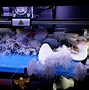 Image result for Bed 3D Printer System